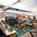 Radisson Hotel Key West::Travelocity.com