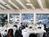Best Western Island Palms Hotel & Marina::Expedia