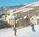 Park Hyatt Beaver Creek Resort & Spa::ProfessionalTravelGuide.com