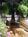 The Morgan Inn Bed and Breakfast::BedAndBreakfast.com