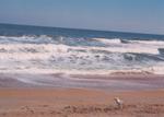 Guana River State Park