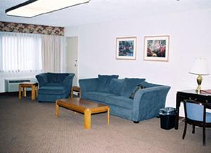 Web-bdl_qual-suite-3
