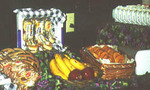 Tn-020111b