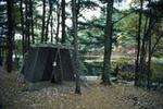Harold Parker State Forest