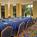 Griffin Gate Marriott Resort - J W's Steakhouse Restaurant::Orbitz