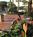 Holiday Inn Naples::Priceline.com