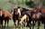 Walden Country Inn and Stables::ProfessionalTravelGuide.com