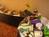 Holiday Inn Grand Island::Orbitz