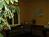 Holiday Inn Express Spokane-Valley::Priceline.com