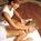 Sams Town Hotel And Casino::Expedia