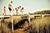 Wild Dunes Resort::Hotels.com