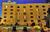 Embassy Suites Orlando - Downtown::Expedia