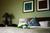 Turtle Bay Resort::ZoomAndGo