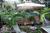Camellia House Bed and Breakfast::BedAndBreakfast.com