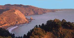Web-muirbeach
