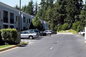 Web-courtyard_by_marriott_42732_2_08082006_1108228906_500