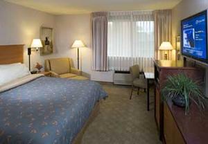 Web-sea_scib-rooms-1