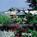 Cambria Pines Lodge::Yahoo! Travel