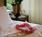 Holualoa Inn::BedAndBreakfast.com