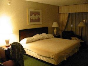 Web-1563487-sheraton_newark_airport_hotel-newark