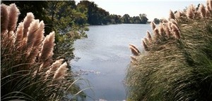 Cane River National Heritage Area::Nps