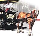 Old South Carriage Company::Old South Carriage Company