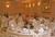 Holiday Inn Galveston on the Beach::ProfessionalTravelGuide.com