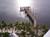 Sanibel Harbour Resort and Spa::TripAdvisor