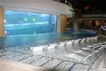 Tn-121401_pool_01_f