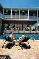 Tn-p12257_pool_01_f