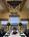 Bodega Bay Lodge from Orbitz