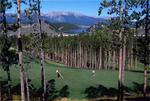 Tn-l22623_golf_01_f