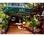HVC Resort Waikiki::Epinions.com