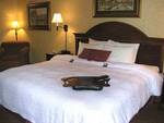 Hampton Inn