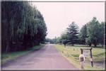 Tn-koa_190186_6