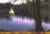 Forest Villas Hotel::Orbitz