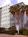 Beach House Bal Harbour::Expedia