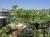 Point at Poipu::Hotels.com