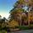 Fairfield Inn and Suites by Marriott Boca Raton::Orbitz