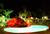 Best Western Tropic Inn::Priceline.com