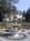 Pinebrook Manor::BedAndBreakfast.com