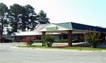 Gold Inn & Suites