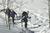 Sonnenalp Resort of Vail::Priceline.com