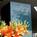 Holiday Inn Fingerlakes::Orbitz
