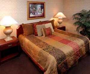 Web-room0-20060216-085755-049