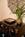 The Huntington Hotel::Priceline.com