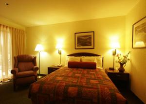 Web-oak_sono-rooms-1