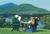 The Crowne Plaza Resort & Golf Club Lake Placid from Priceline.com
