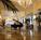 Don CeSar Beach Resort, A Loews Hotel::Expedia