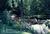 Homeplace Bed and Breakfast::BedAndBreakfast.com